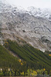 Canadian Rockies Photo, Jasper National Park