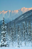 Winter photo Fireweed Mountain, Alaska