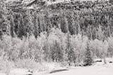 Winter, black and white, Wrangell-St. Elias National Park