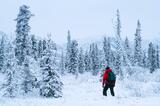 Snowshoeing in Wrangell-St. Elias National Park and Preserve