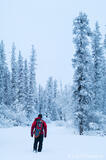 Snowshoeing Wrangell-St. Elias National Park Alaska