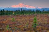 Mt Sanford, dawn, Wrangell St. Elias, Alaska.