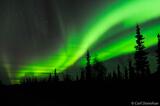 Northern lights photo and boreal forest, Wrangell-St. Elias