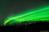 Northern lights photo and boreal forest, Wrangell - St. Elias, A