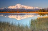 Mount Sanford reflection, Wrangell-St. Elias, Alaska