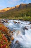 Arrigetch Creek, fall color, Gates of the Arctic National Park