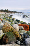 Rocks on the beach, Sitkagi Bluffs photo
