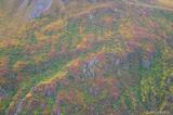 Fall color photo Wrangell-St. Elias National Park
