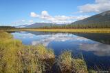 Circle Lake and reflection photo, Alaska