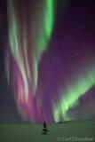 Red, purple and green Aurora borealis photo