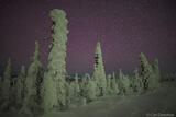 Alaska night skies photo.