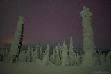 Alaska northern lights photo.