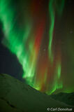 Green and Red Aurora Columns, Brooks Range