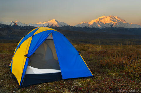 Camping in Denali National Park