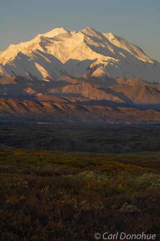 Mt. Denali rising above the tundra