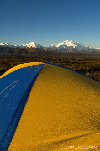 Backpacking tensite and Mount Denali photo