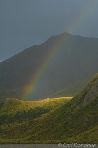 Rainbow over Denali Tundra