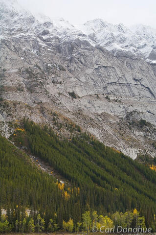 Canadian Rockies Photo, Jasper National Park