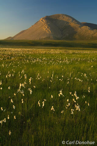 Mt. Coppleston in Arctic National Wildlife Refuge