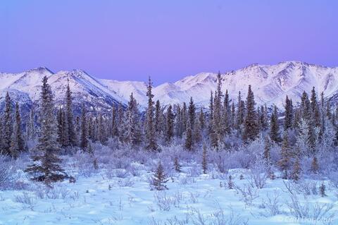 Mentasta Hills, Wrangell-St. Elias National Park Alaska