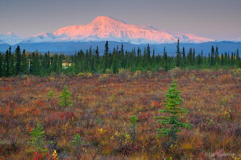 Mount Sanford, Wrangell - St. Elias National Park, Alaska