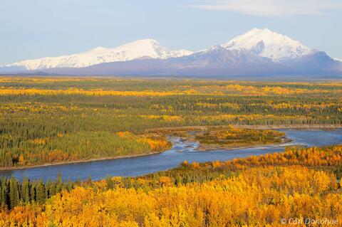 Copper River and fall colors, Wrangell-St. Elias National Park, 