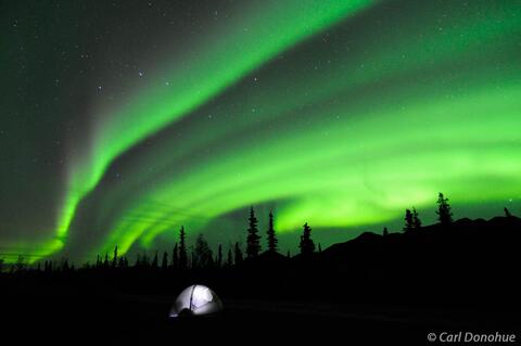 Northern lights over campsite, Wrangell - St. Elias, Alaska
