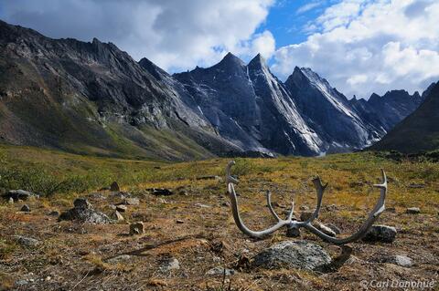 Caribou antlers at The Maidens, Arrigetch Peaks