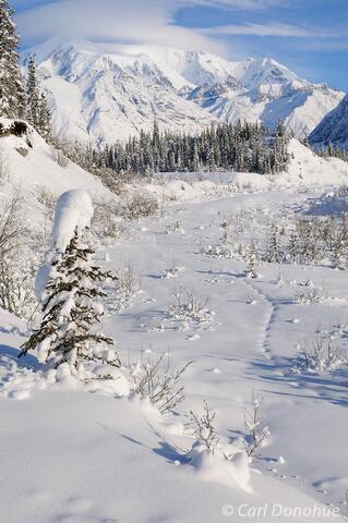 Mount Blackburn photo Wrangell-St. Elias National Park