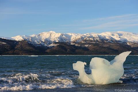 Icy Bay iceberg photo
