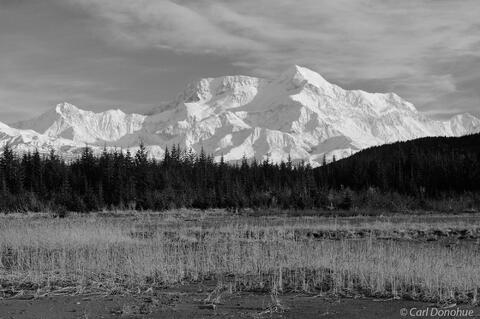 Black and White Mt. St. Elias photo