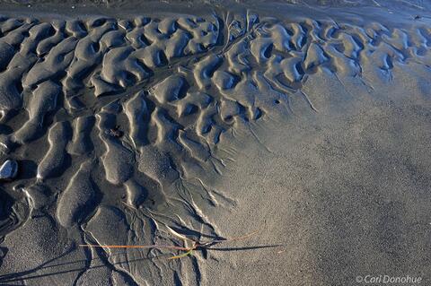 Patterns in the mud and sand at Icy Bay beach