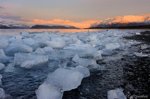 Icebergs in Icy Bay, Wrangell-St. Elias National Park