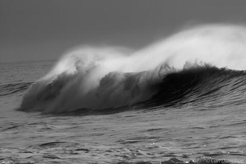 Black and white photo of breaking wave, Pacific Ocean Alaska