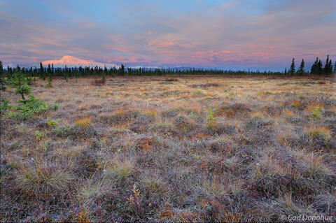Mount Sanford photo at sunrise and fall colors on tundra