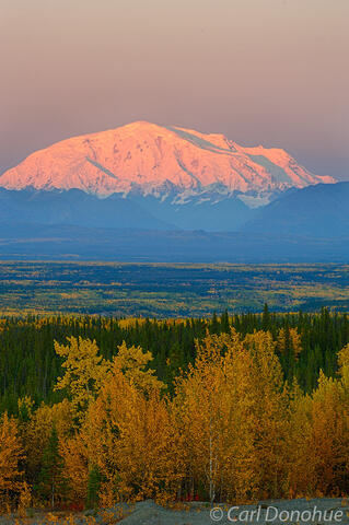 Mount Blackburn and fall foliage Wrangell-St. Elias National Park