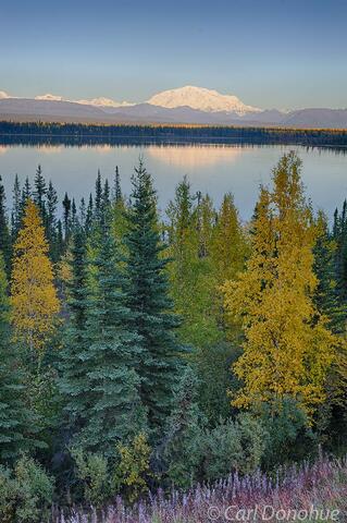 Wrangell Mountains from the Richardson Highway, fall colors, Wrangell-St. Elias National Park and Preserve, Alaska.