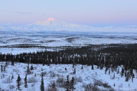 Dawn on Mount Sanford photo, Wrangell-St. Elias National Park, Alaska.