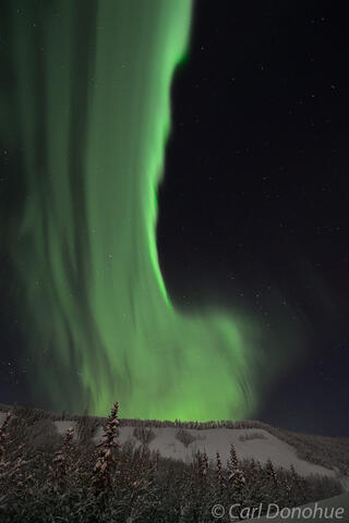 Aurora borealis over Wrangell St. Elias National Park photo