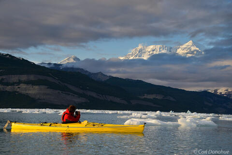 Sea kayaker photographing Mt. St. Elias from Icy Bay, Alaska.