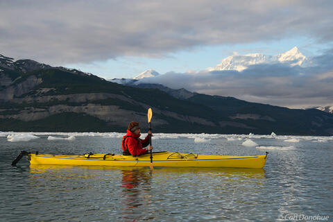 Sea kayaker paddling near Mt. St. Elias from Icy Bay, Alaska.