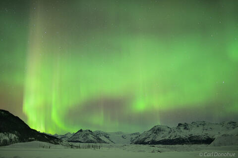 Northern Lights over Wrangell mountains and Kennicott Glacier