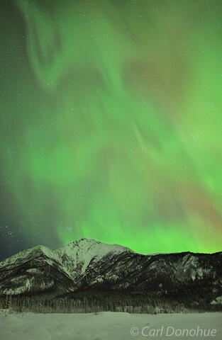 Aurora borealis photo and Fireweed Mountain McCarthy