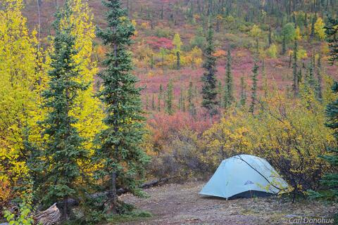 Tent sites and fall colors Gates of the Arctic