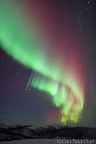 Photo of the northern lights