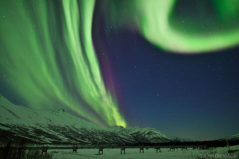 Alaska Range and northern lights photo