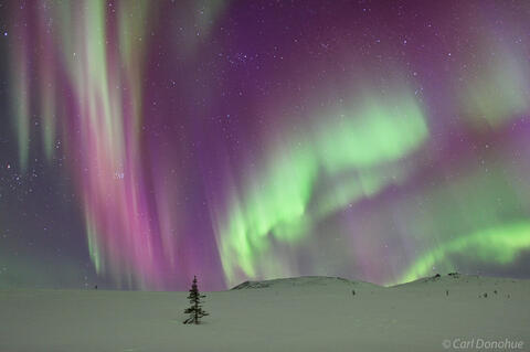 Red, purple and green Northern lights photo