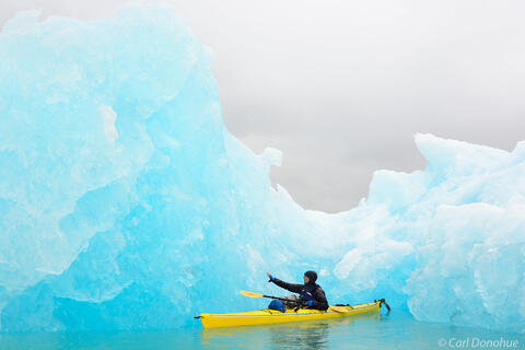 Sea kayaker and icebergs photo