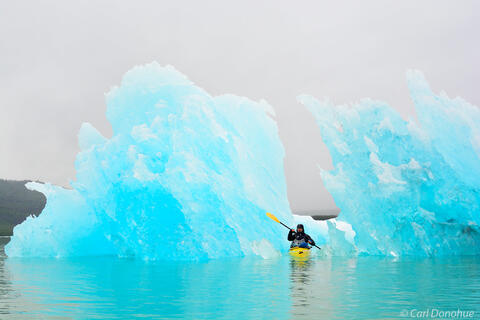 Sea kayaker paddling around icebergs photo