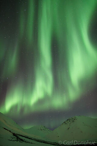 Aurora borealis the Chandalar Shelf Brooks Range